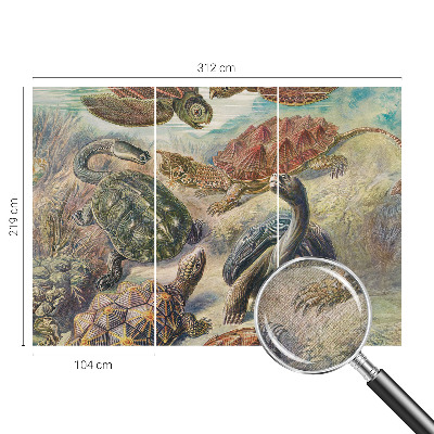 Self-adhesive wall mural with a turtle fauna design