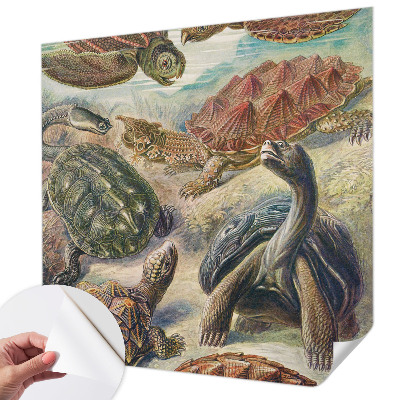 Self-adhesive wall mural with a turtle fauna design