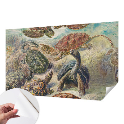 Self-adhesive wall mural with a turtle fauna design
