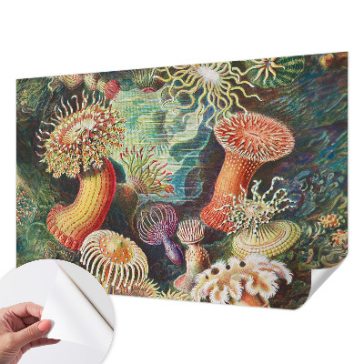 Self-adhesive photo wallpaper with a fancy anemone design