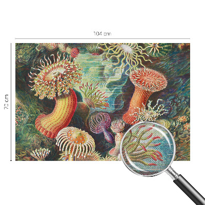 Self-adhesive photo wallpaper with a fancy anemone design