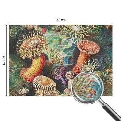 Self-adhesive photo wallpaper with a fancy anemone design