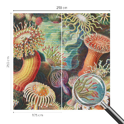 Self-adhesive photo wallpaper with a fancy anemone design