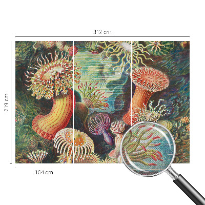 Self-adhesive photo wallpaper with a fancy anemone design