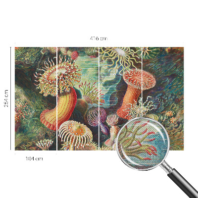Self-adhesive photo wallpaper with a fancy anemone design