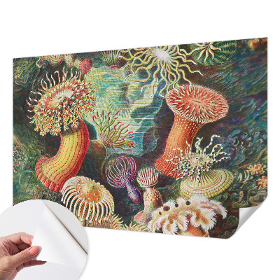 Self-adhesive photo wallpaper with a fancy anemone design