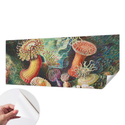Self-adhesive photo wallpaper with a fancy anemone design
