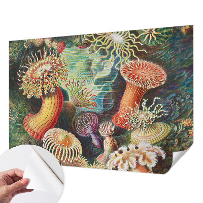 Self-adhesive photo wallpaper with a fancy anemone design