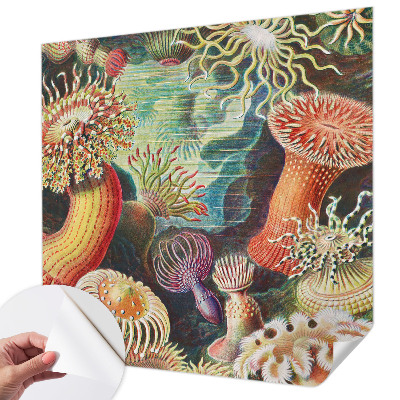 Self-adhesive photo wallpaper with a fancy anemone design