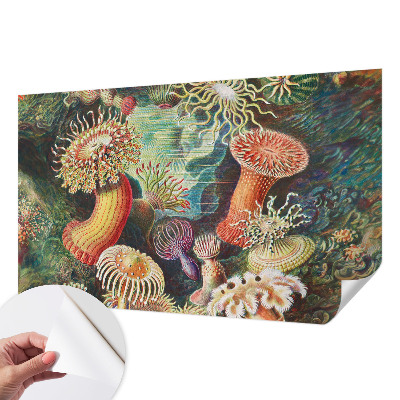 Self-adhesive photo wallpaper with a fancy anemone design
