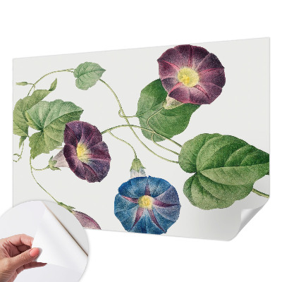 Peel and stick wallpaper mural with a floristic design