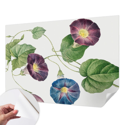 Peel and stick wallpaper mural with a floristic design