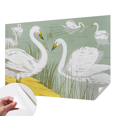 Stick-on wall mural with a Swan Lake design