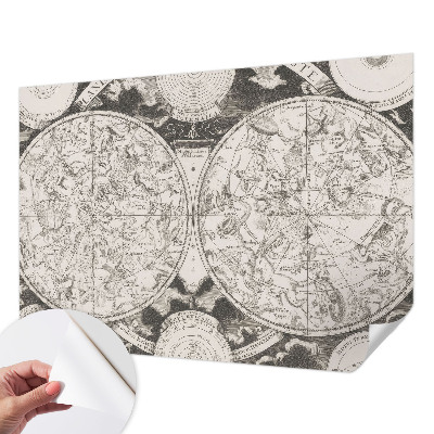 Removable wall mural wallpaper with a star map design