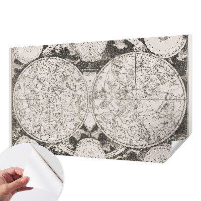 Removable wall mural wallpaper Star map