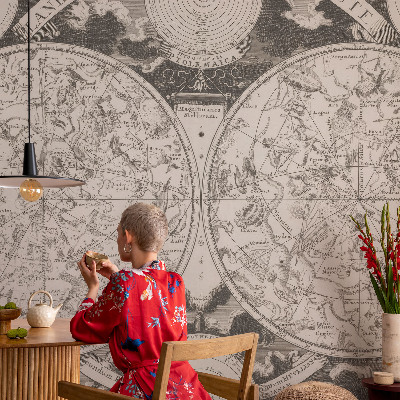Removable wall mural wallpaper with a star map design