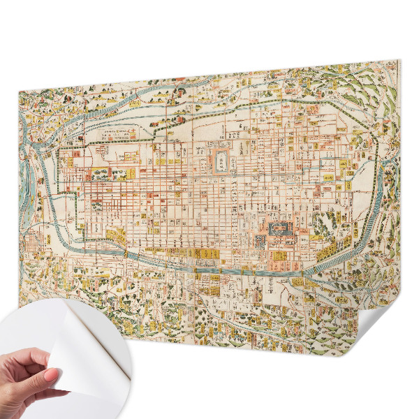Peel and stick wall mural with an antique map design for the living room