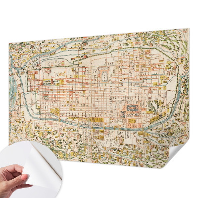 Peel and stick wall mural with an antique map design for the living room