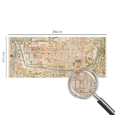 Peel and stick wall mural with an antique map design for the living room