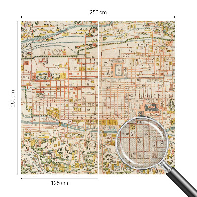 Peel and stick wall mural with an antique map design for the living room