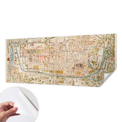 Peel and stick wall mural with an antique map design for the living room