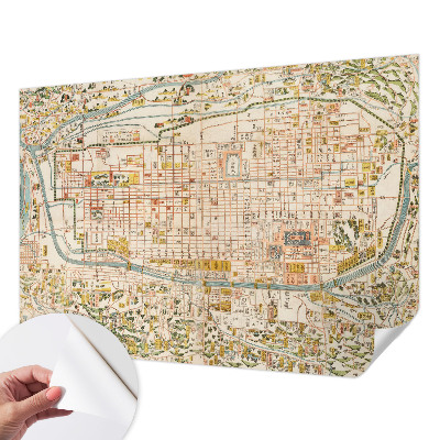 Peel and stick wall mural with an antique map design for the living room
