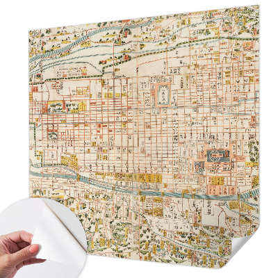 Peel and stick wall mural with an antique map design for the living room