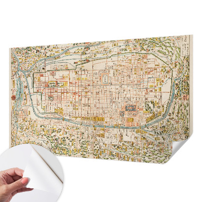 Peel and stick wall mural with an antique map design for the living room