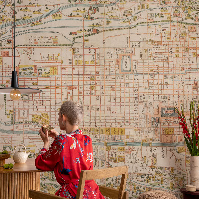 Peel and stick wall mural with an antique map design for the living room