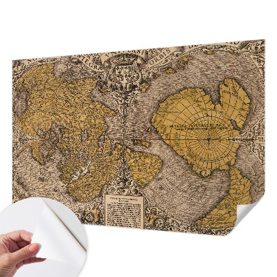 3D wall mural Historical cartography