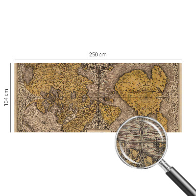 3D Wall Mural with a historical cartography motif