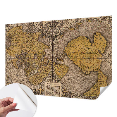 3D wall mural Historical cartography