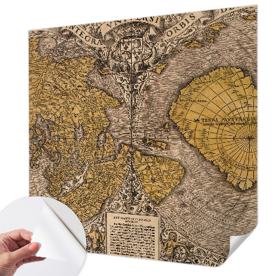3D Wall Mural with a historical cartography motif