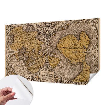 3D Wall Mural with a historical cartography motif