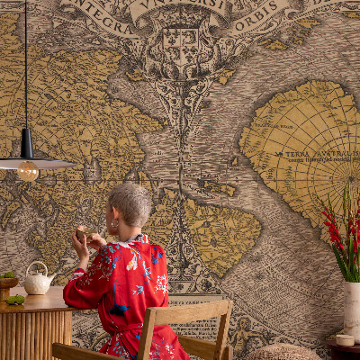 3D Wall Mural with a historical cartography motif