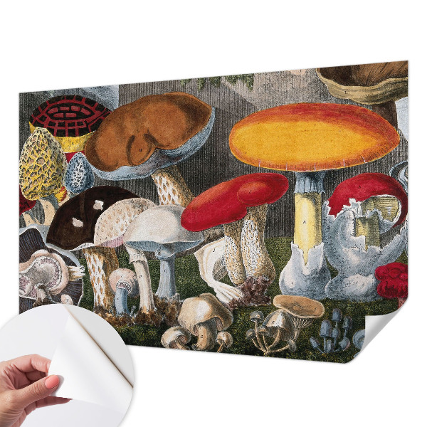 Nursery wall mural Botanical mushrooms