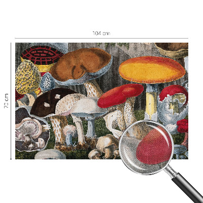 Nursery wall mural Botanical mushrooms