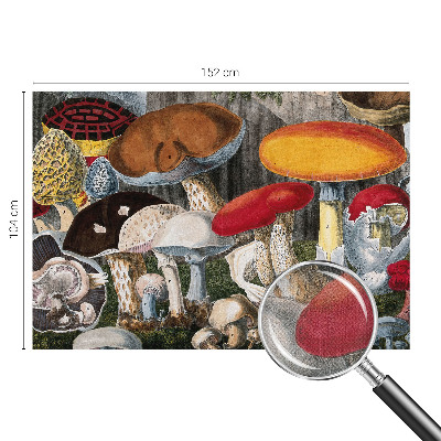 Nursery wall mural Botanical mushrooms