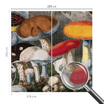 Nursery wall mural Botanical mushrooms