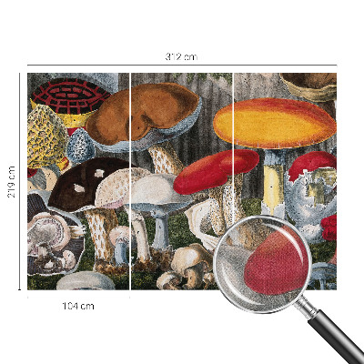 Nursery wall mural Botanical mushrooms