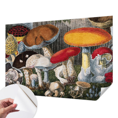 Nursery wall mural with a botanical mushroom design