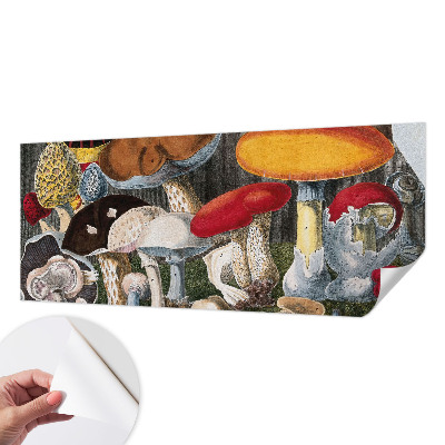 Nursery wall mural with a botanical mushroom design