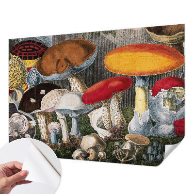 Nursery wall mural with a botanical mushroom design