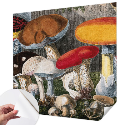 Nursery wall mural Botanical mushrooms
