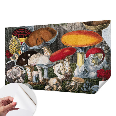 Nursery wall mural Botanical mushrooms