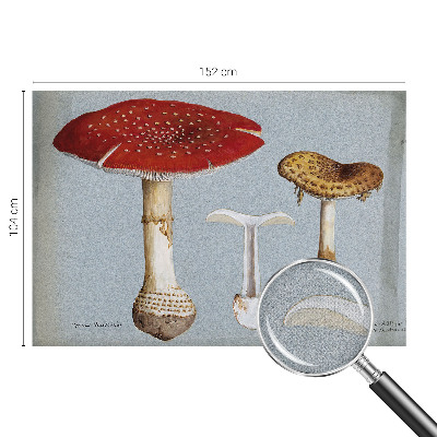 Peel and stick wall mural with engraved mushroom illustrations