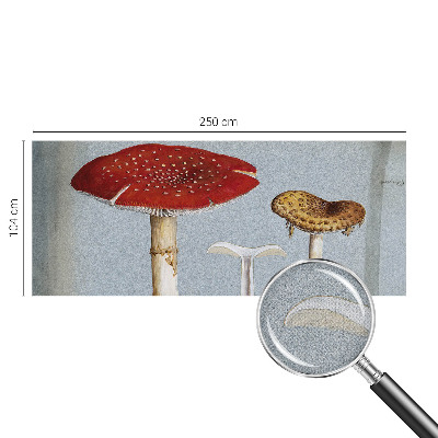 Peel and stick wall mural with engraved mushroom illustrations