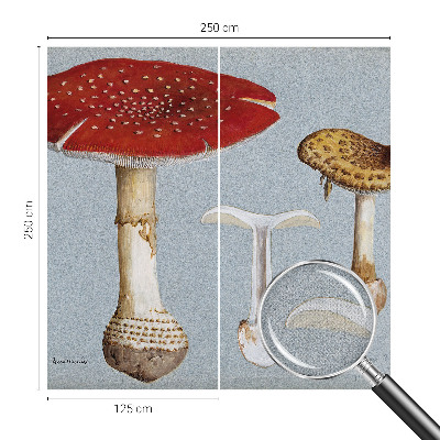 Peel and stick wall mural with engraved mushroom illustrations