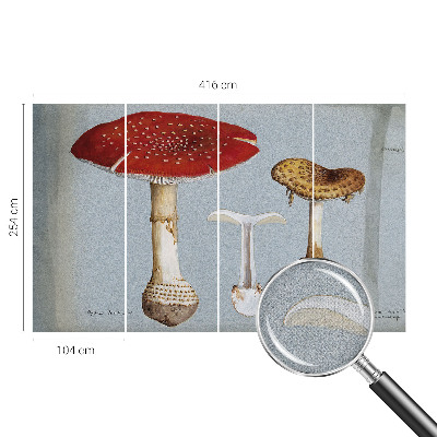 Peel and stick wall mural with engraved mushroom illustrations