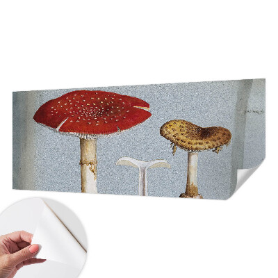 Peel and stick wall mural with engraved mushroom illustrations